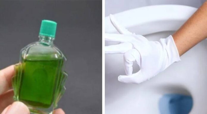 The Magic Potion for a Refreshing Bathroom Experience: A Simple Hack for an Instant Upgrade