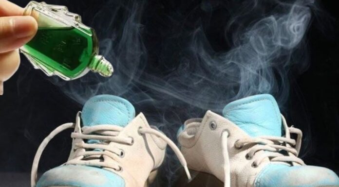 The Magic of Essential Oils: Unveiling Little-Known Benefits