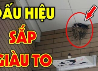 3 Signs Your House is Sitting on a Hidden Treasure, Bringing You Everlasting Wealth and Prosperity