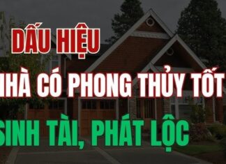 The Four Signs of a Blessed Home: A Guide to Recognizing and Embracing Good Fortune.