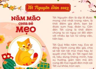 The Secret to Crispy, Aromatic, and Cohesive Stir-Fried Pork for Tet: Master These 5 Tips!