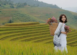 Unveiling the 7 Wonders of Yen Bai: A Nature Lover’s Guide to the Ultimate Escapade