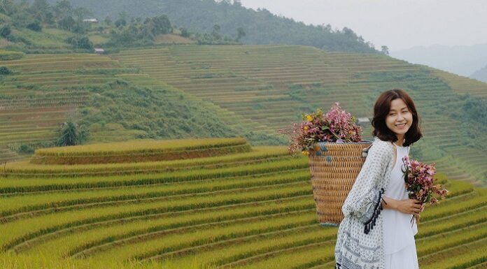 Unveiling the 7 Wonders of Yen Bai: A Nature Lover’s Guide to the Ultimate Escapade