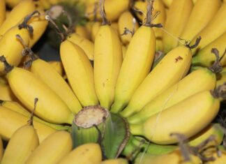 “Delicacies Fit for Royalty: Exploring Hanoi’s Imperial Past Through Its Cuisine”