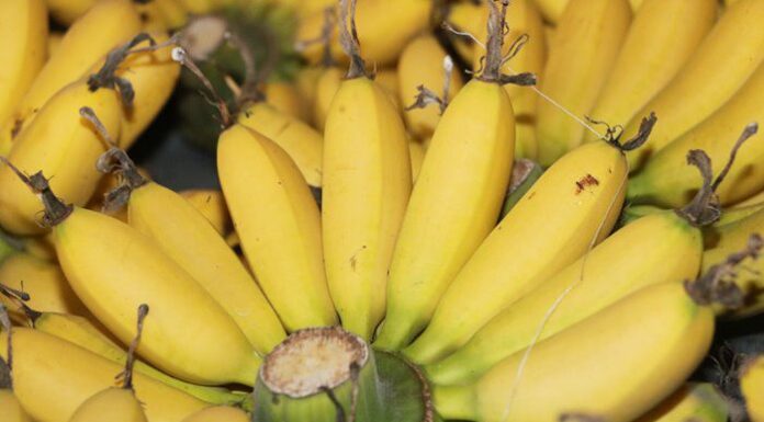 “Delicacies Fit for Royalty: Exploring Hanoi’s Imperial Past Through Its Cuisine”