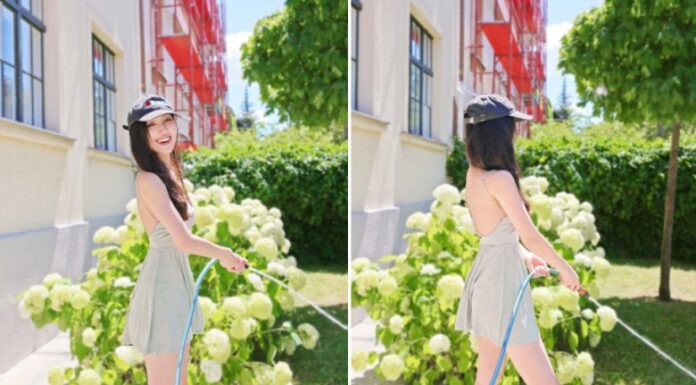 The Delicate Art of Gardening in Style: A Guide for Sisters