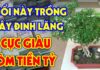 Attract Wealth and Prosperity: The Ideal Placement of the Vietnamese Mint to Invite Fortune