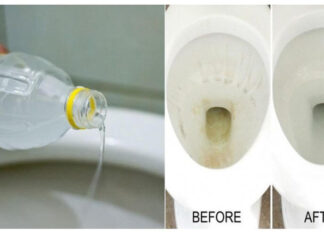 The Magic Potion for Your Toilet: A Vinegar Flush to Save Your Wallet and Wow Your Family