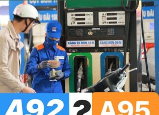 Should You Choose A92 or A95 Gasoline for Your Car?