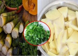 The Ultimate Guide to Detoxing: 5 Easy Ways to Cleanse Your Favorite Foods