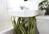The Dangers Hiding in Your Bathroom: 9 Out of 10 Homes Get This Wrong, It’s Not Superstition