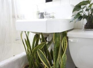 The Dangers Hiding in Your Bathroom: 9 Out of 10 Homes Get This Wrong, It’s Not Superstition