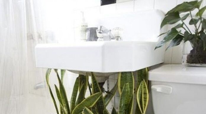 The Dangers Hiding in Your Bathroom: 9 Out of 10 Homes Get This Wrong, It’s Not Superstition