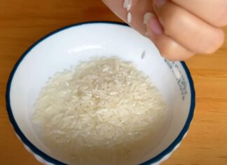The Ultimate Guide to Getting Rid of Rats: A Natural, Effective Method Using Just a Handful of Rice