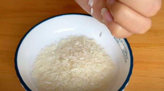 The Ultimate Guide to Getting Rid of Rats: A Natural, Effective Method Using Just a Handful of Rice