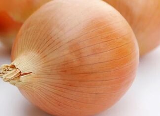 5 Things That Cockroaches Absolutely Hate: Keep Them Away for Good