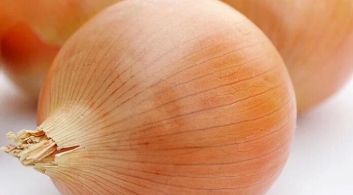 5 Things That Cockroaches Absolutely Hate: Keep Them Away for Good