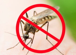 The Ultimate Guide to Mosquito Control: Keep Those Pesky Biters at Bay!
