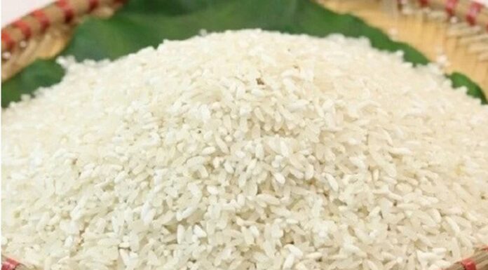Avoid These Three Rice Types: They Lack Nutrition and May Contain Toxins Harmful to Your Organs