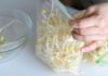 How to Keep Bean Sprouts Fresh, Crisp, and Free From Discoloration for Extended Storage