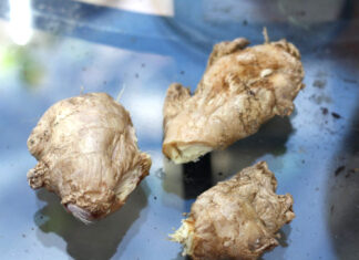 The Ultimate Guide to Ginger: Discover the Secret to Keeping it Fresh for a Year!