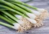 The Dangers of Green Onions: Foods to Avoid Pairing with this Vegetable