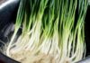 5 Amazing Tips to Keep Spring Onions Fresh and Crisp: A Simple Soak for Long-lasting Scallions
