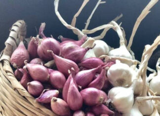 The Ultimate Guide to Storing Garlic: No Sprouts, No Softness, for Months