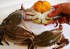 The Ultimate Guide to Unlocking the Secrets of Crab and Crayfish Broth: Why Your Choice of Water Matters for a Delicious Dish