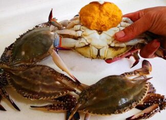 The Ultimate Guide to Unlocking the Secrets of Crab and Crayfish Broth: Why Your Choice of Water Matters for a Delicious Dish