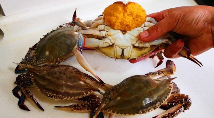 The Ultimate Guide to Unlocking the Secrets of Crab and Crayfish Broth: Why Your Choice of Water Matters for a Delicious Dish