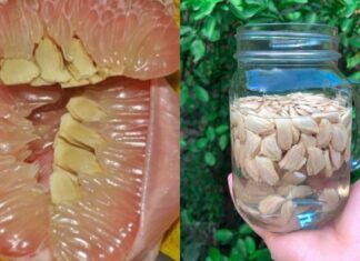 The Soaking Power of Pomelo Seeds: A Little-Known Remedy