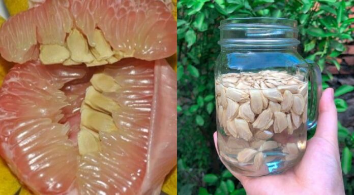 The Soaking Power of Pomelo Seeds: A Little-Known Remedy