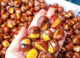 The Ultimate Guide to Buying Chestnuts: How to Spot the Perfect Sweet and Nutty Treat