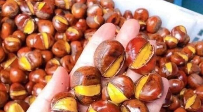 The Ultimate Guide to Buying Chestnuts: How to Spot the Perfect Sweet and Nutty Treat