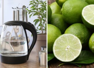 The Ultimate Guide: 4 Super-Fast Ways to Remove Plastic Odors