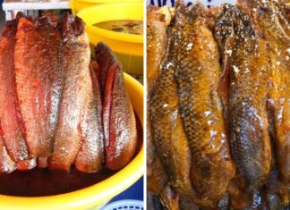 Taste the Delights of Thoi Binh Ca Mau: Indulge in the Ultimate Mam Ca Loc Experience