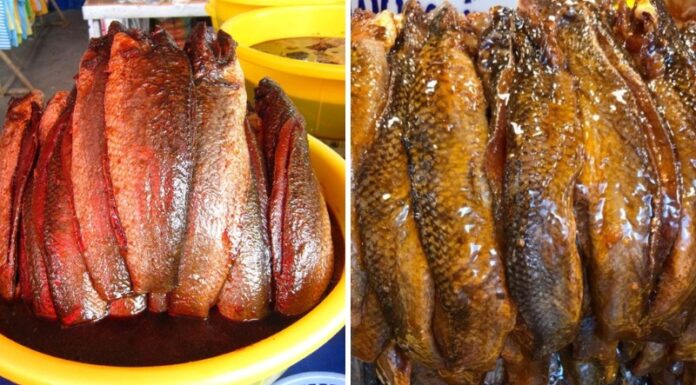 Taste the Delights of Thoi Binh Ca Mau: Indulge in the Ultimate Mam Ca Loc Experience