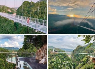 Conquering Bach Long Glass Bridge – The World’s Longest Glass Bridge