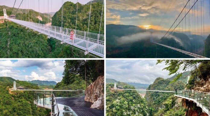 Conquering Bach Long Glass Bridge – The World’s Longest Glass Bridge