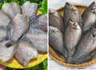 The Tasty and Savory Dried Snakehead Fish of U Minh