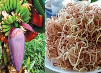 The Ultimate Flower: A Natural Remedy for Optimal Health