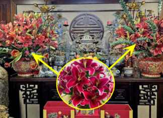 Why You Shouldn’t Place Lilies on the Altar