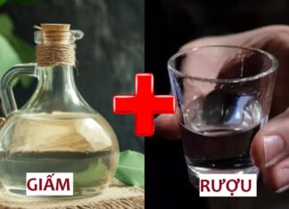 The Magic Potion: Unveiling the Astonishing Benefits of White Vinegar for Both Men and Women