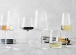 The Ultimate Guide to Choosing Wine Glasses for Beginners