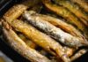 Mastering the Art of Dried Fish Cooking: The Ultimate Guide to Choosing the Perfect Appliance
