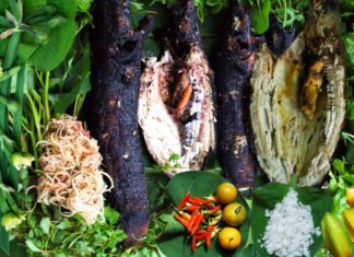 Unveiling the Secrets of Ca Mau’s Char-Grilled Snakehead Fish