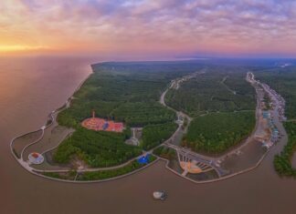 The Ultimate Guide to Ca Mau: Witnessing the Chilling Sunrise