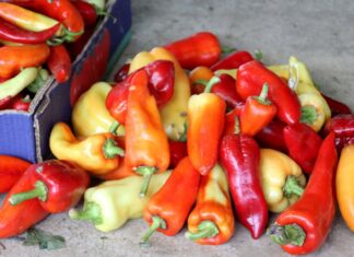 The Ultimate Guide to Handling Chili Peppers Like a Pro: 5 Tips to Keep Your Hands Burn-Free While Chopping