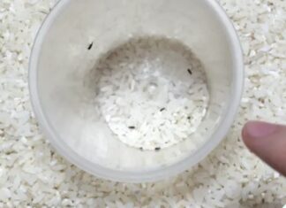 The Magic Ingredient to Transform Your Rice: A Simple Trick with Amazing Results